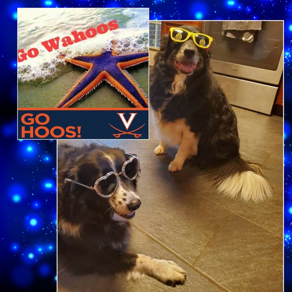 Meet your Posher, Kathy